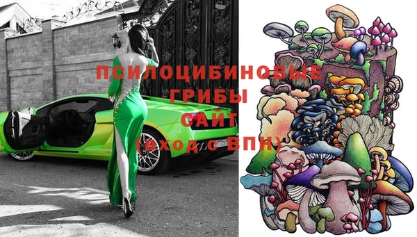 PSILOCYBIN Лысково