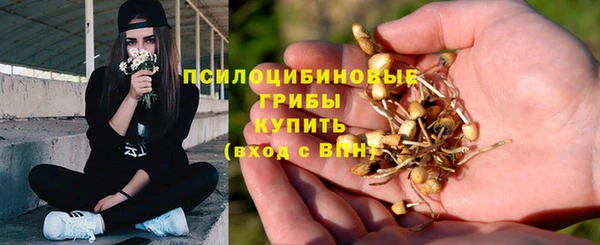 PSILOCYBIN Лысково
