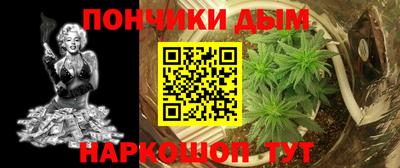 гидра Заводоуковск