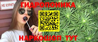 индика Заволжье