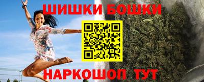 гидра Заводоуковск