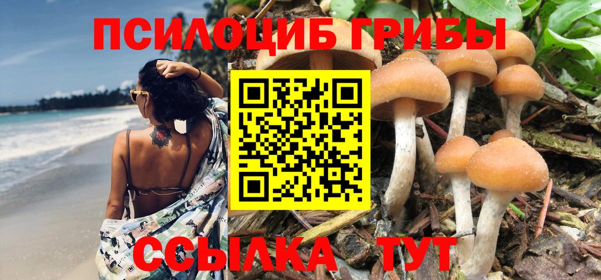 Галлюциногенные грибы Cubensis  Вход с VPN  Мелеуз 